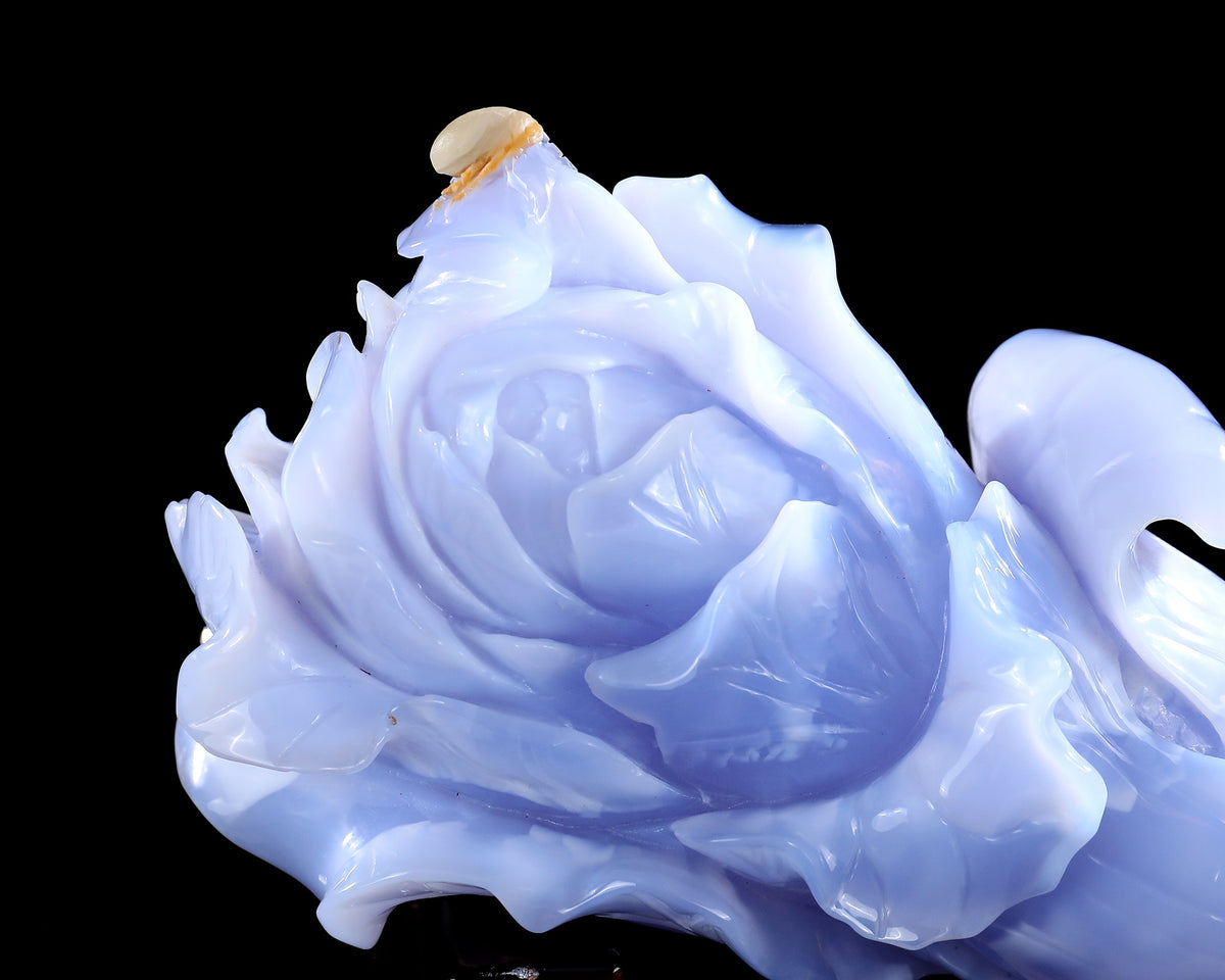 Blue Chalcedony Chinese Cabbage