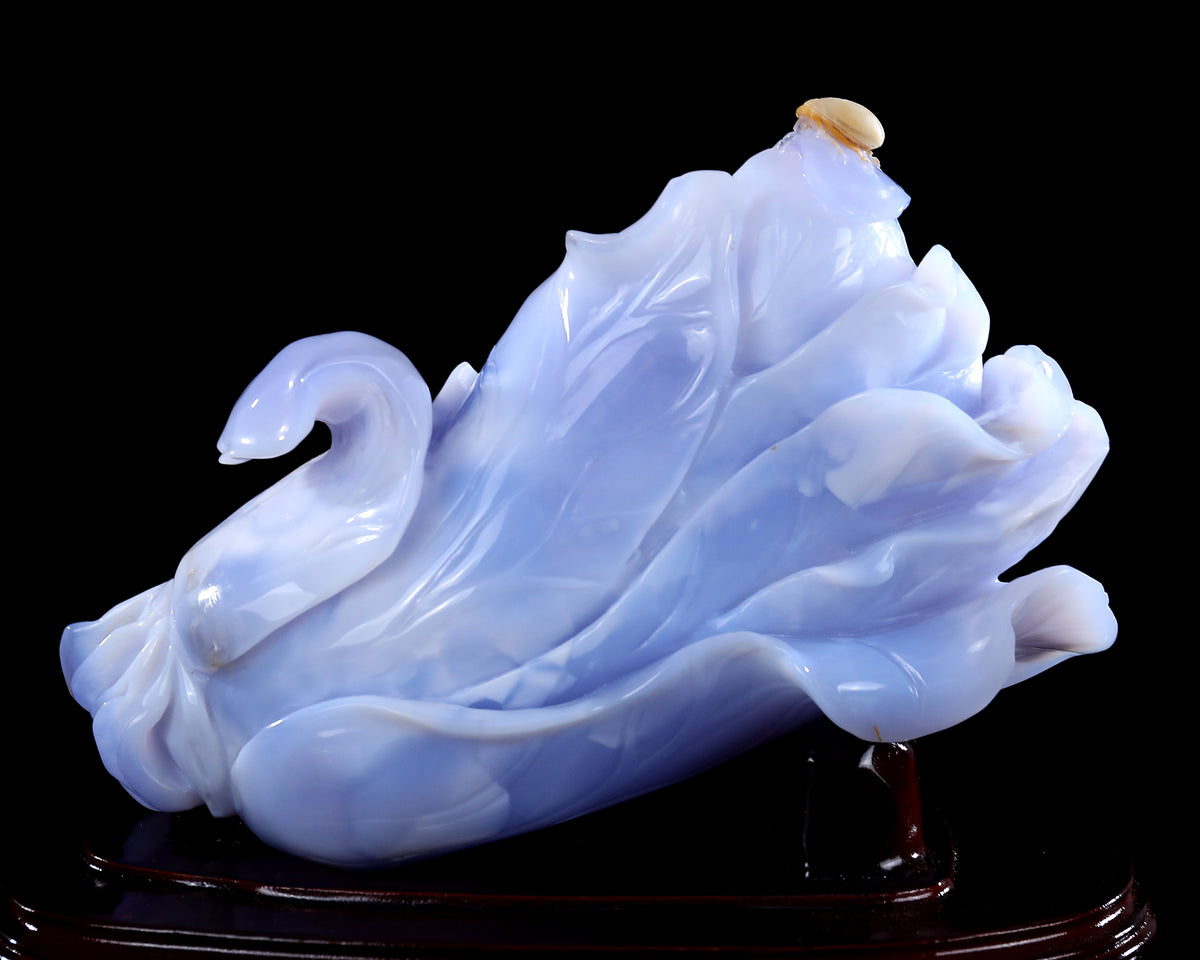 Blue Chalcedony Chinese Cabbage