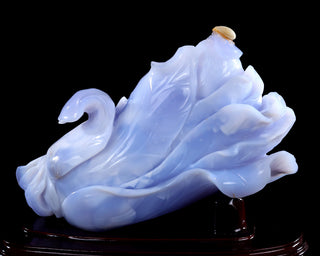 Blue Chalcedony Chinese Cabbage