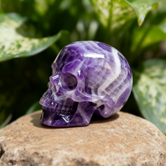 4.5 Inch Dream Amethyst Crystal Skull — view 3