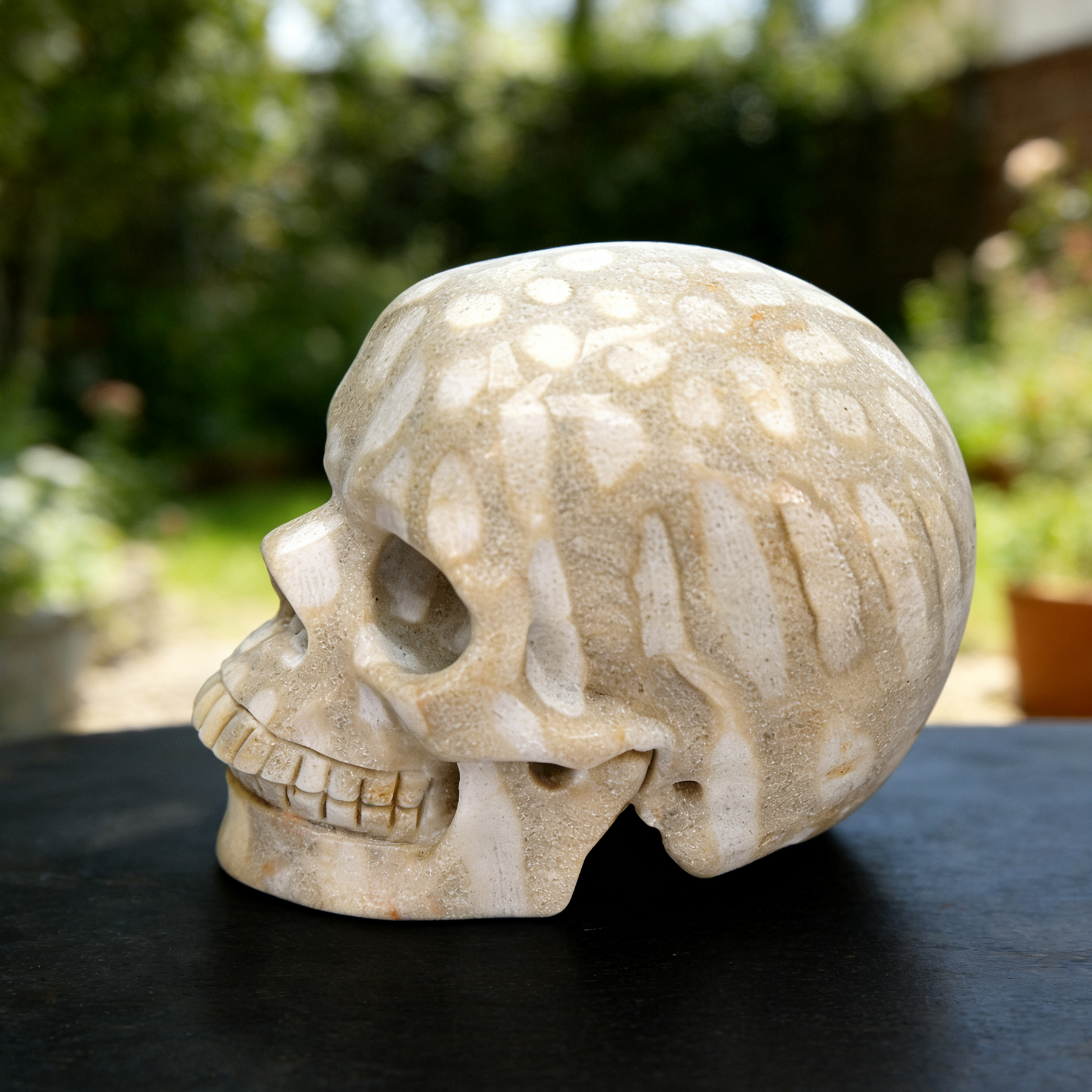 3 Inch Coral Fossil Crystal Skull — view 6