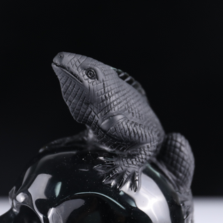 Crâne de lézard en obsidienne noire